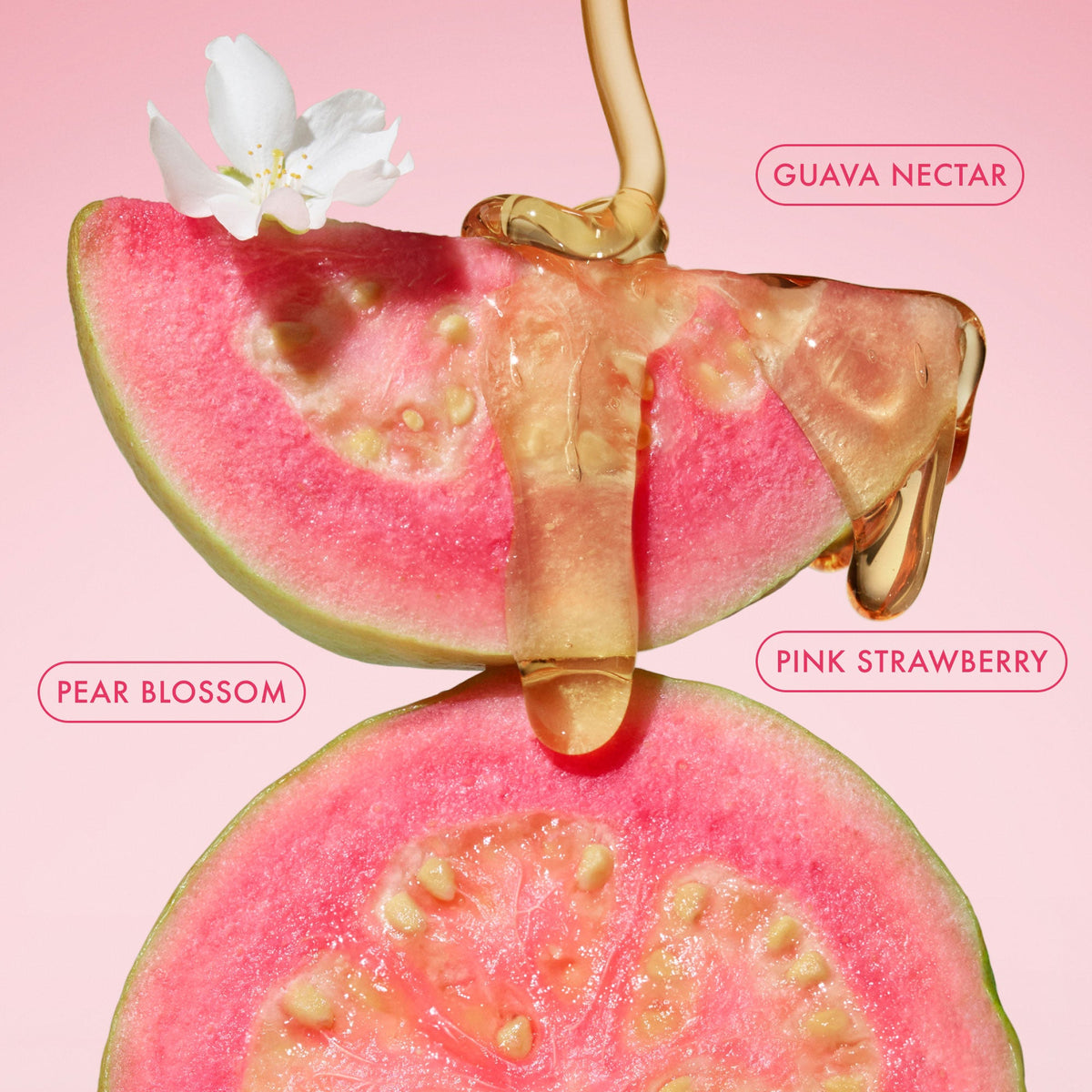 body-fragrance-mist-pink-guava-travel-size-r3 BodyButterBalmPinkGuava_3.jpg