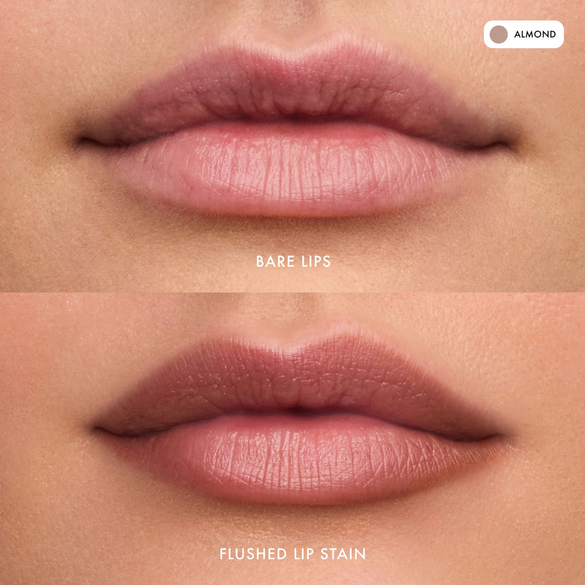 flushed-lip-stain-almond-j5 FlushedLipStain_Almond_B_A.jpg