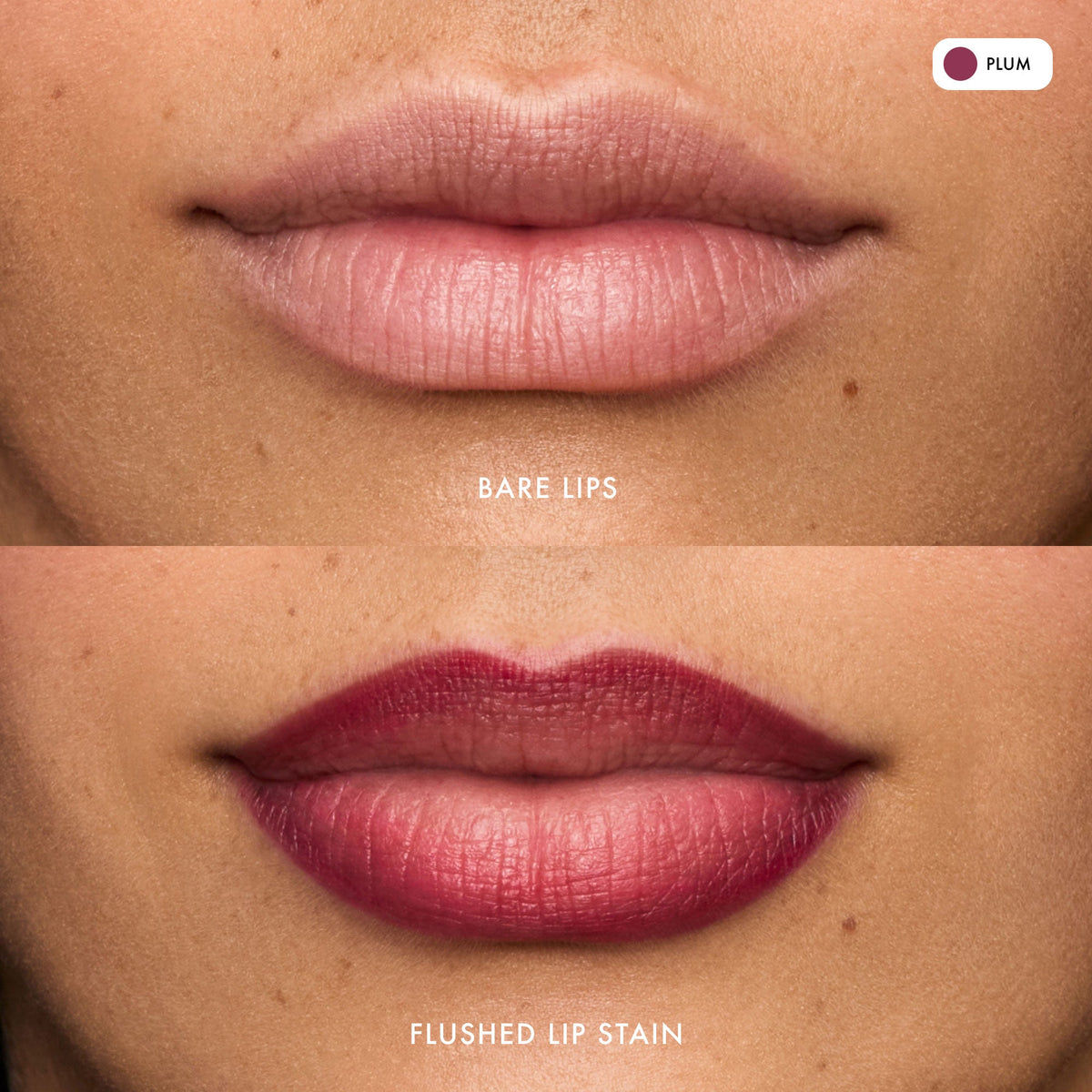 flushed-lip-stain-plum-o6 FlushedLipStain_Plum_B_A.jpg
