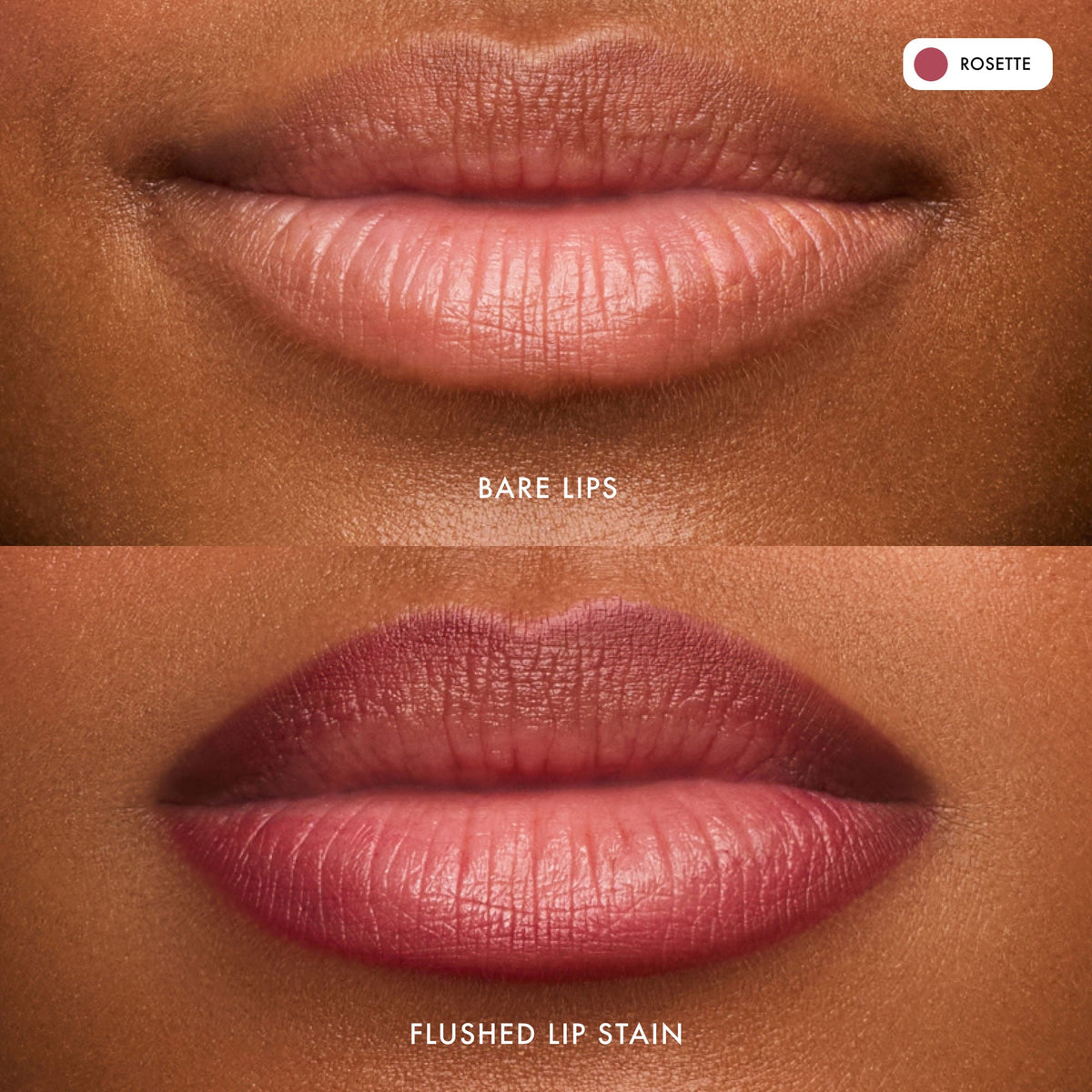 flushed-lip-stain-rosette-f0 FlushedLipStain_Rosette_B_A.jpg