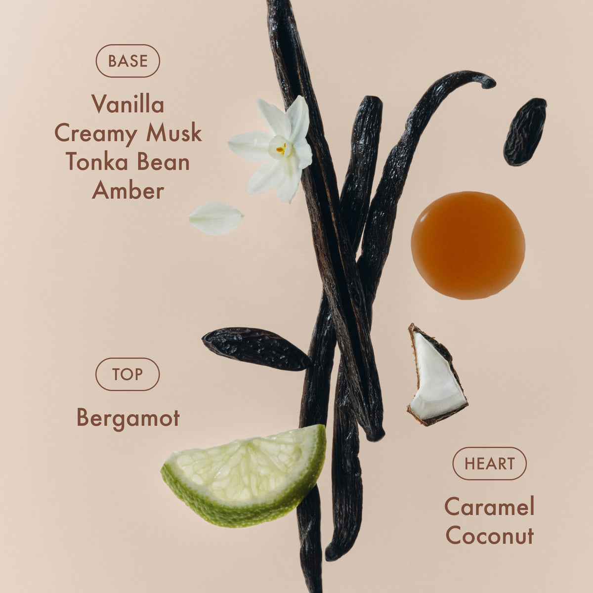 sunlit-vanillatm-eau-de-parfum-i3 SunlitVanilla_4.jpg